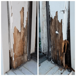 Dry wood rot repair